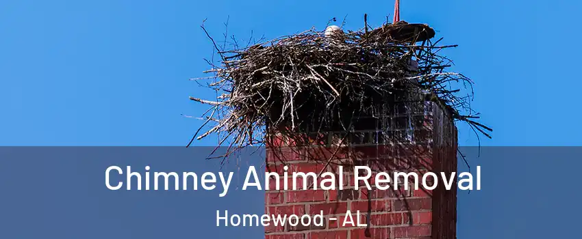  Chimney Animal Removal Homewood - AL