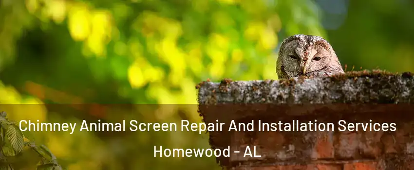  Chimney Animal Screen Repair And Installation Services Homewood - AL