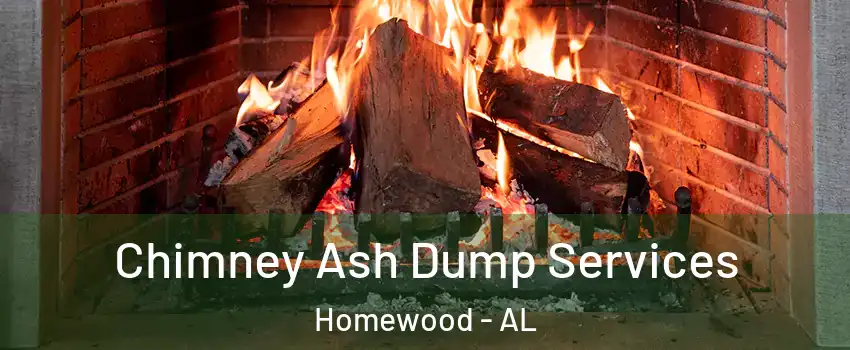  Chimney Ash Dump Services Homewood - AL