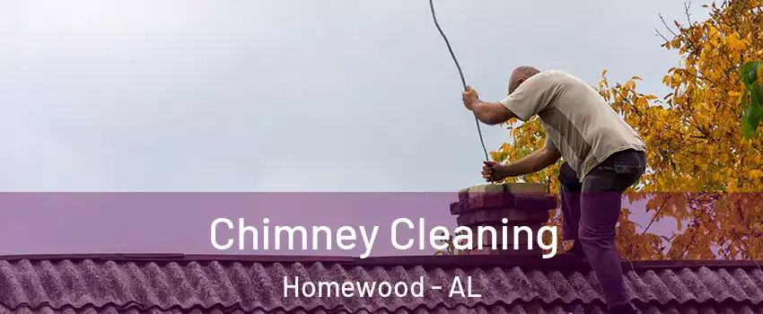  Chimney Cleaning Homewood - AL