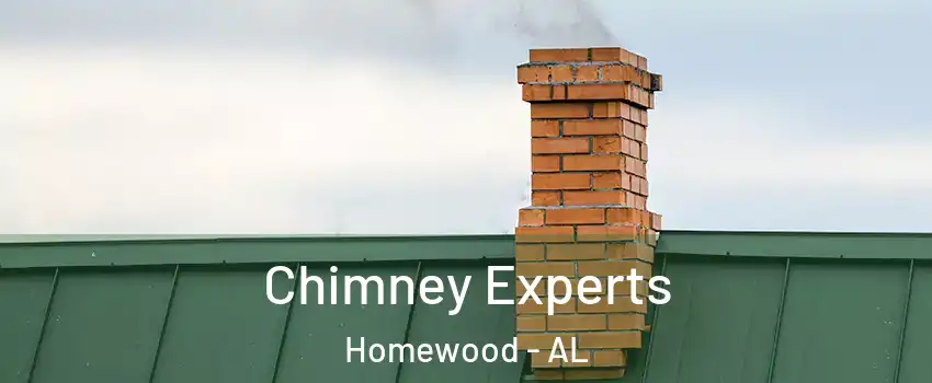  Chimney Experts Homewood - AL