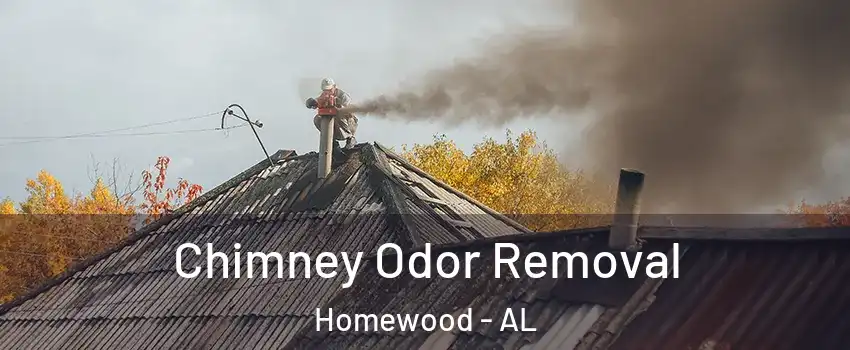  Chimney Odor Removal Homewood - AL