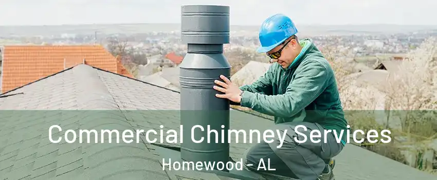  Commercial Chimney Services Homewood - AL