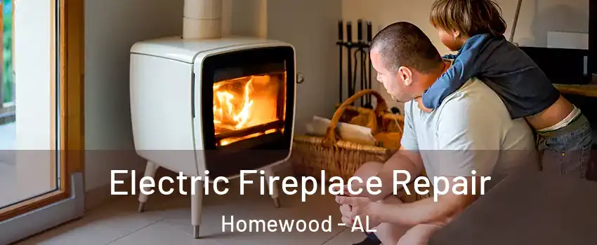  Electric Fireplace Repair Homewood - AL