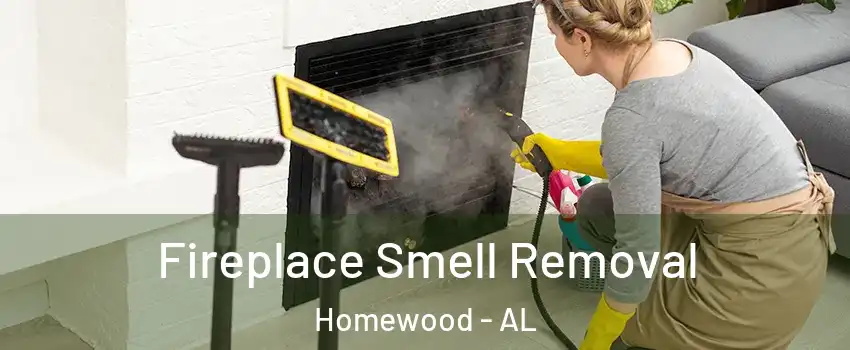  Fireplace Smell Removal Homewood - AL