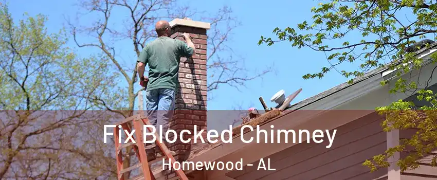  Fix Blocked Chimney Homewood - AL