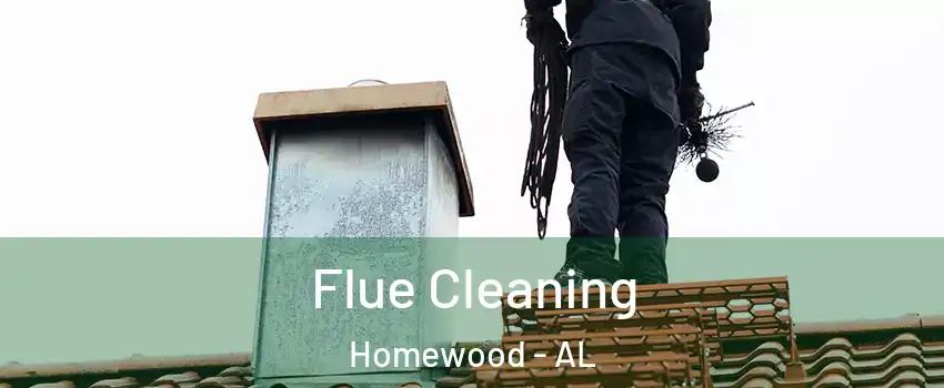  Flue Cleaning Homewood - AL