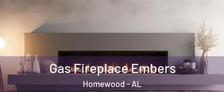  Gas Fireplace Embers Homewood - AL