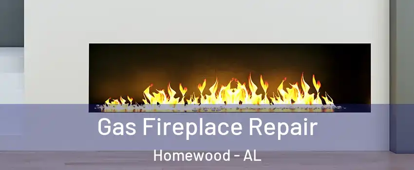  Gas Fireplace Repair Homewood - AL