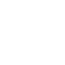 Professional Chimney Flue Installation in Homewood, Alabama