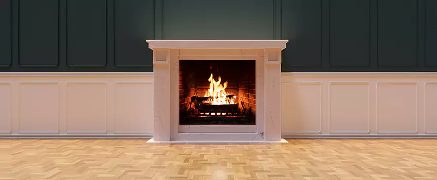 Napoleon Electric Fireplaces Inspection Service in Homewood, Alabama