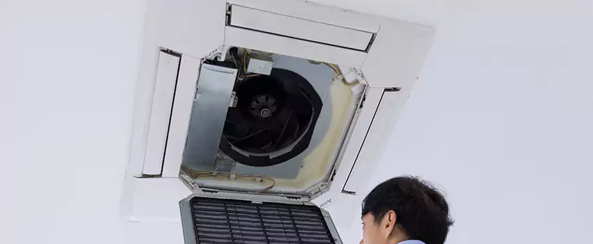 Benefits of Professional Air Duct Cleaning in Homewood, Alabama