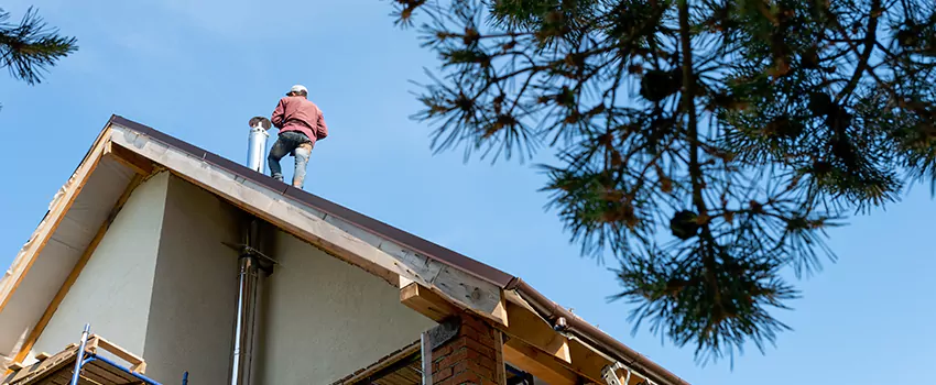 Birds Removal Contractors from Chimney in Homewood, AL