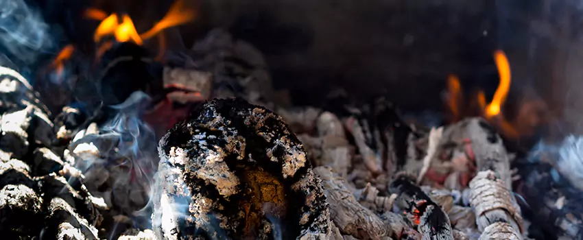 Creosote Removal Experts in Homewood, AL