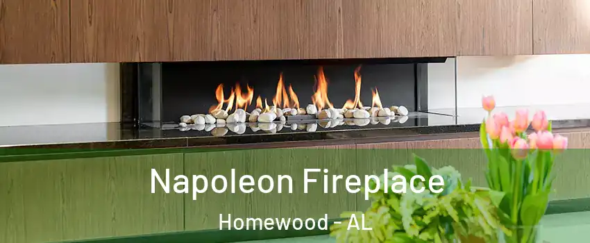  Napoleon Fireplace Homewood - AL