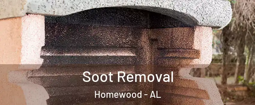  Soot Removal Homewood - AL